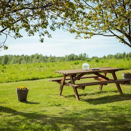 Vecteva Darzs Villa Rucava Eksteriør bilde